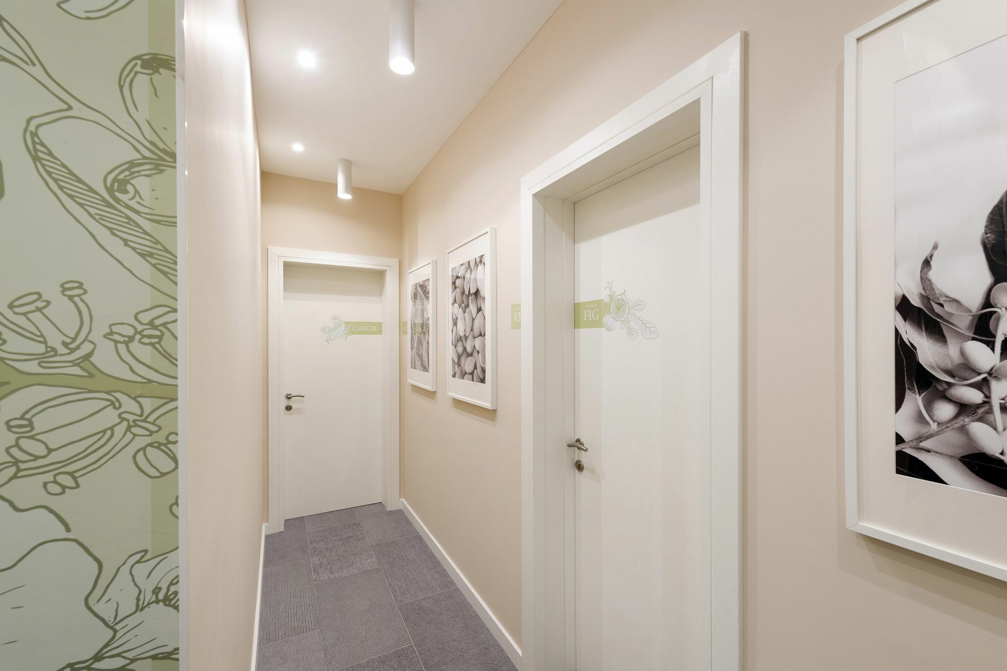 Luxury Mak Appartement Split